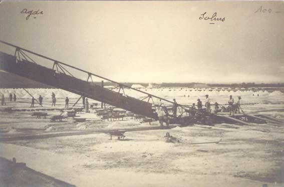 Les salins du Cap en 1907