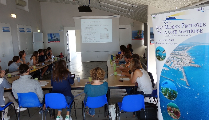 Formation pour le suivi et la conservation des cétacés en Méditerranée par RDGR
