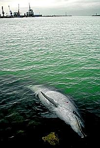 799_K104.jpg