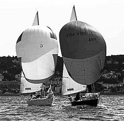 864_K118.jpg